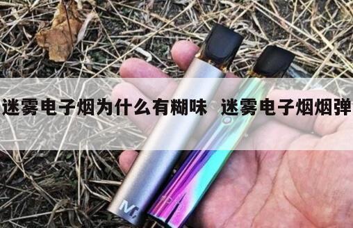 迷雾电子烟为什么有糊味  迷雾电子烟烟弹 