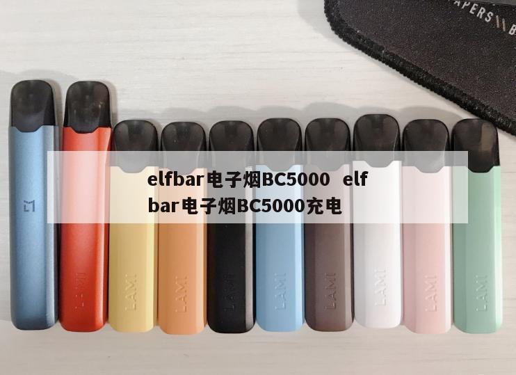 elfbar电子烟BC5000  elfbar电子烟BC5000充电 