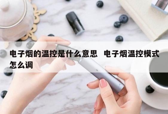 电子烟的温控是什么意思  电子烟温控模式怎么调 