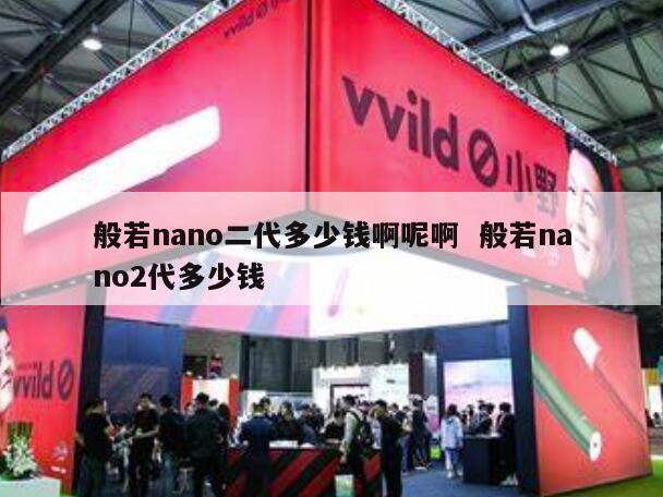 般若nano二代多少钱啊呢啊  般若nano2代多少钱 