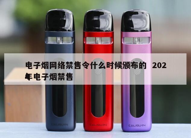 电子烟网络禁售令什么时候颁布的  2024
年电子烟禁售 