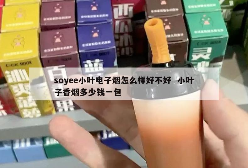 soyee小叶电子烟怎么样好不好  小叶子香烟多少钱一包 