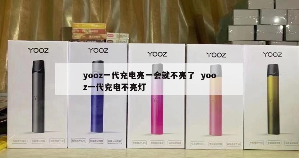 yooz一代充电亮一会就不亮了  yooz一代充电不亮灯 