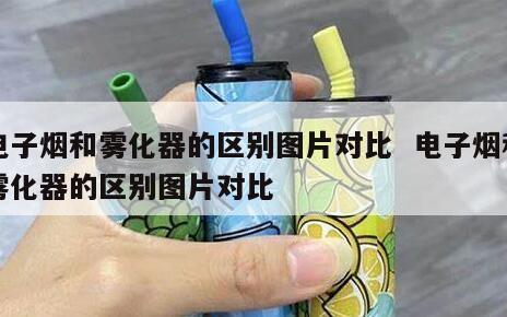 电子烟和雾化器的区别图片对比  电子烟和雾化器的区别图片对比 