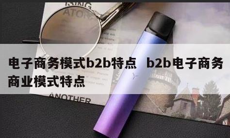 电子商务模式b2b特点  b2b电子商务商业模式特点 