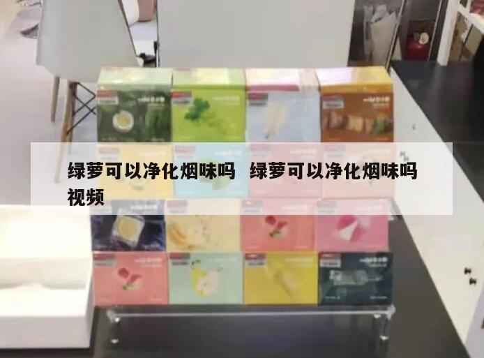 绿萝可以净化烟味吗  绿萝可以净化烟味吗视频 