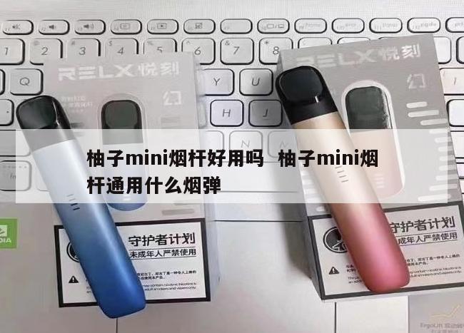 柚子mini烟杆好用吗  柚子mini烟杆通用什么烟弹 