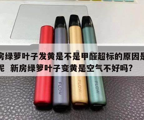 新房绿萝叶子发黄是不是甲醛超标的原因是什么呢  新房绿箩叶子变黄是空气不好吗? 