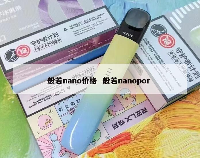 般若nano价格  般若nanopor 